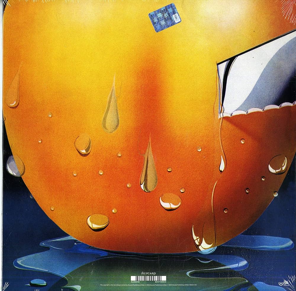 Amazon.co.jp: Acquiring the Taste -Hq- [Analog]: ミュージック